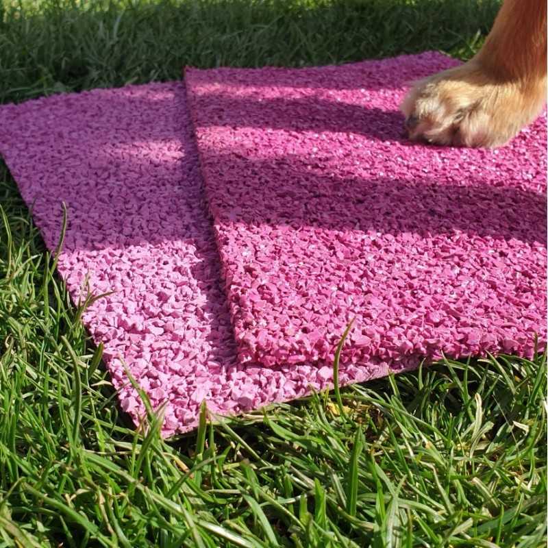 Dog Mat Training: Teach Your Dog Target Training with Mats · The